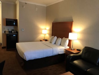 Business Room, 1 Queen Bed, Non Smoking, Refrigerator & Microwave