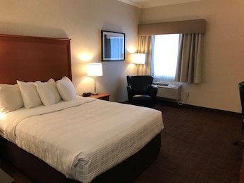 Business Room, 1 Queen Bed, Non Smoking, Refrigerator & Microwave