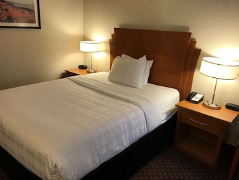 Standard Room, 1 Queen Bed, Non Smoking, Refrigerator