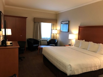 Business Room, 1 King Bed, Non Smoking, Refrigerator & Microwave