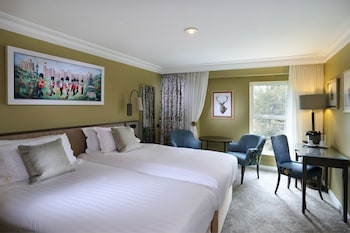 Superior Room, 2 Twin Beds (Park Wing Twin)