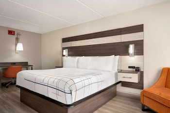 Room, 1 King Bed, Accessible, Non Smoking (Mobility/Hearing Accessible)