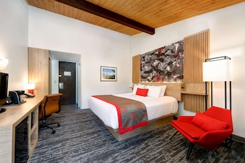 Room, 1 King Bed, Non Smoking