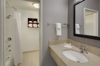 Room, 1 King Bed with Sofa bed, Hearing Accessible