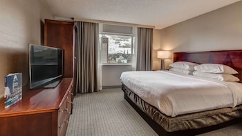 Suite, 1 King Bed, Accessible, Bathtub
