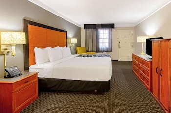 Room, 1 King Bed, Accessible (Mobility Accessible)