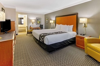 Room, 1 King Bed