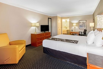 Room, 1 King Bed