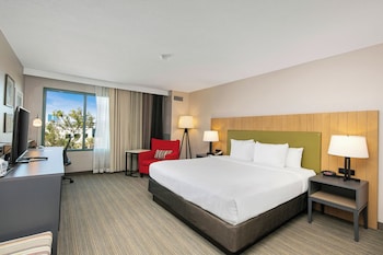 Room, 1 King Bed, Accessible, Non Smoking (Roll-in Shower)