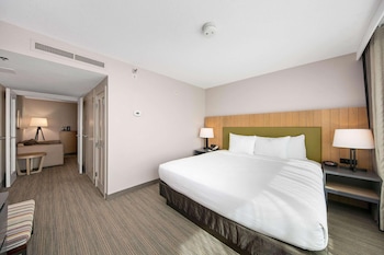 Suite, 1 Bedroom, Non Smoking