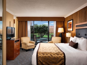 Standard Room, 1 King Bed, Non Smoking, Kitchenette