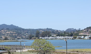 Standard Room, 1 King Bed, Mountain View