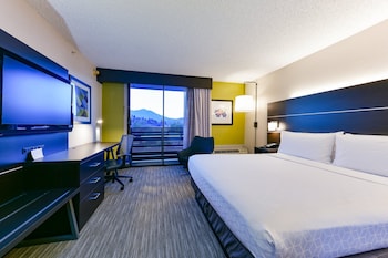 Standard Room, 1 King Bed, Mountain View