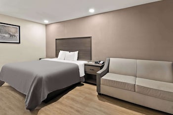 Standard Room, 1 King Bed, Non Smoking