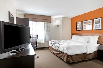 Standard Room, 1 King Bed, Non Smoking