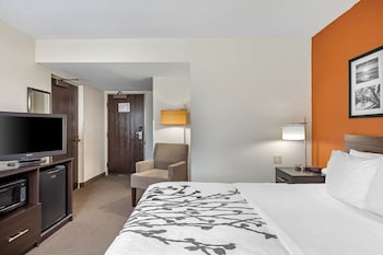 Standard Room, 1 King Bed, Non Smoking