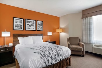 Standard Room, 1 Queen Bed, Non Smoking, Refrigerator & Microwave