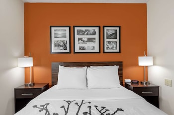 Room, 1 Queen Bed, Accessible, Non Smoking