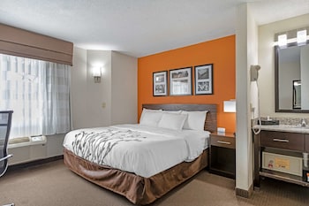 Standard Room, 1 King Bed, Non Smoking