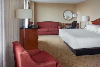 Room, 1 King Bed with Sofa bed