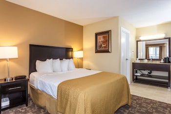 Standard Room, 1 King Bed, Non Smoking