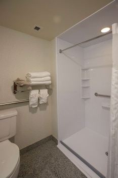 Room, 1 King Bed, Accessible, Non Smoking (Roll-in Shower)
