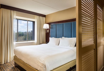 Junior Suite, 1 King Bed