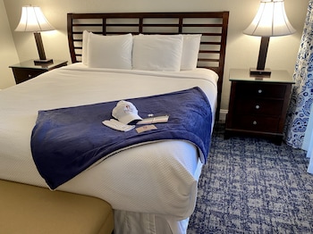 Junior Suite, 1 King Bed (750 SqFt)