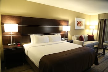 Suite, 1 King Bed (Additional Living Area)