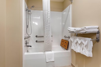 Suite, 1 King Bed with Sofa bed, Accessible, Non Smoking