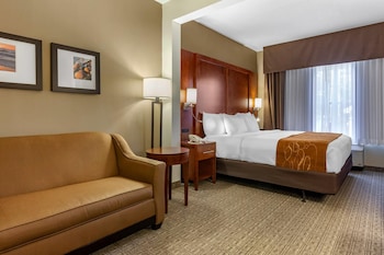 Suite, 1 King Bed with Sofa bed, Accessible, Non Smoking