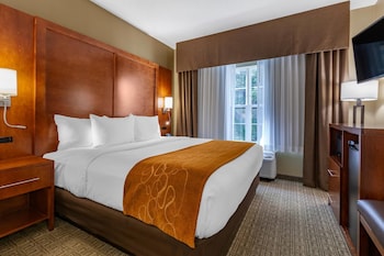 Suite, 1 King Bed with Sofa bed, Non Smoking