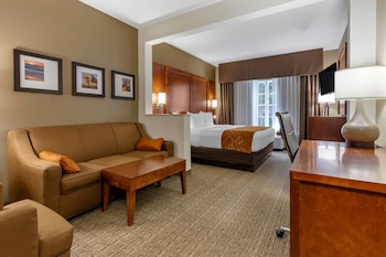 Suite, 1 King Bed with Sofa bed, Non Smoking