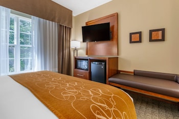 Suite, 1 King Bed with Sofa bed, Non Smoking