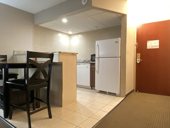Suite, 1 King Bed with Sofa bed, Non Smoking (Efficiency)