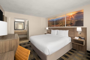 Standard Room, 1 King Bed