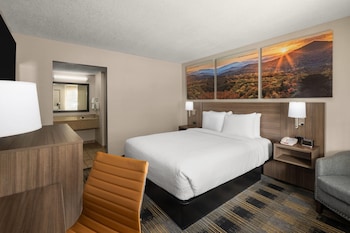 Room, 1 Queen Bed, Accessible, Non Smoking (Mobility, Bathtub with Grab Bars)
