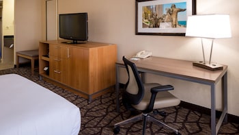 Standard Room, 1 King Bed, Accessible (Accessible Tub)