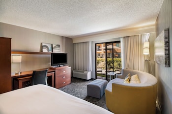 Deluxe Room, 1 King Bed with Sofa bed, Accessible (Mobility Roll in Shower)