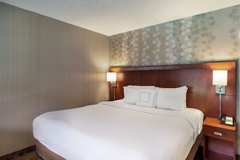 Suite, 1 King Bed with Sofa bed, Accessible (One Bedroom - Mobility - Tub)