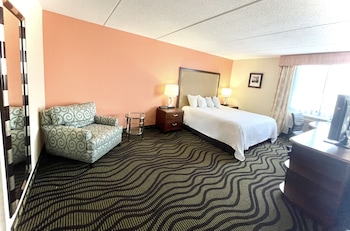 Deluxe Suite, 1 King Bed, Non Smoking