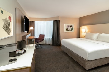 Standard Room, 1 King Bed, Mobility Accessible (Accessible Tub)