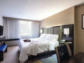 Standard Room, 1 Queen Bed