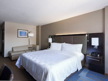 Standard Room, 1 King Bed with Sofa bed