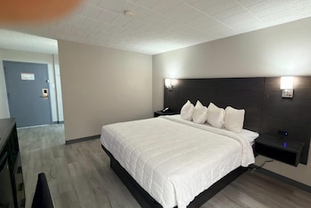 Room, 1 King Bed, Non Smoking