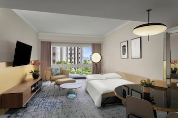 Room, 1 King Bed with Sofa bed