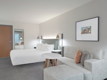 Premium Room, 1 King Bed, Roll-in Shower, Non Smoking (Communications, Roll-In Shower)