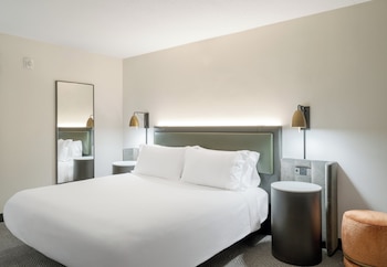 Standard Room, 1 King Bed, Mobility Accessible, Non Smoking (Comm, Mobil, Access Tub)