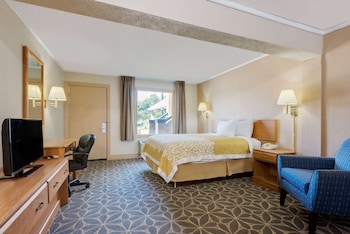 Room, 1 King Bed, Smoking