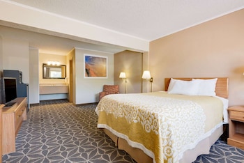 Room, 1 King Bed, Smoking